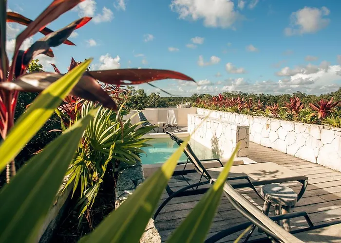Vida Boho Apart 16 With Special Fee To Access Hotel Bardo